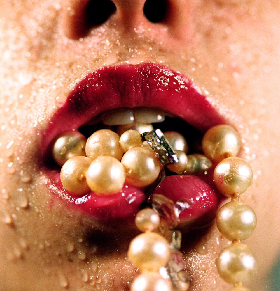 Marilyn Minter 2003